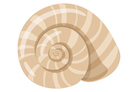 Download Ocean Seashell Icon. Aquatic Shell Swirl - Aquatic Collection